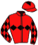 casaque portée par Lepage Axe. jockey du cheval de course LITOTE DU LANNIER, information pmu ZETURF