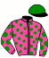casaque portée par Delalande M. jockey du cheval de course JOIE DES OBEAUX, information pmu ZETURF