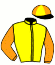 casaque portée par Grosbois Chr. jockey du cheval de course ELEGANTIA, information pmu ZETURF
