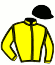 casaque portée par Mangione R. jockey du cheval de course DIANA MOON, information pmu ZETURF