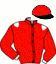 casaque portée par Desmigneux F. jockey du cheval de course DU SCION (FR), information pmu ZETURF