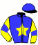 casaque portée par Abrivard L. jockey du cheval de course DUMPING DU PARC (FR), information pmu ZETURF