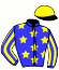 casaque portée par Saussaye V. jockey du cheval de course HIEROCLES (FR), information pmu ZETURF