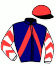 casaque portée par Raffin E. jockey du cheval de course HIRONDELLE FEE, information pmu ZETURF