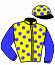 casaque portée par Blot Mlle M. jockey du cheval de course ILLICO D'ORME, information pmu ZETURF