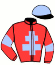 casaque portée par Lecanu F. jockey du cheval de course FAST AND TONIC, information pmu ZETURF