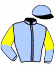 casaque portée par Provost D. jockey du cheval de course HALVA, information pmu ZETURF