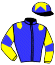casaque portée par Poirier Mlle C. jockey du cheval de course SCAT LADY, information pmu ZETURF