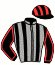 casaque portée par Mangione R. jockey du cheval de course RHUM RUNNER, information pmu ZETURF