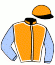 casaque portée par Mosse G. jockey du cheval de course YQUELON, information pmu ZETURF