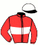 casaque portée par Besnier H. jockey du cheval de course CHEEK TO CHEEK, information pmu ZETURF