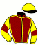 casaque portée par Doyle Mme Hol. jockey du cheval de course FOLGARIA, information pmu ZETURF