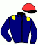 casaque portée par Lebouc Hug. jockey du cheval de course VIRGO MARIA, information pmu ZETURF