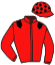casaque portée par Lemaitre A. jockey du cheval de course BEJAR, information pmu ZETURF