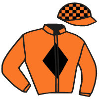 casaque portée par Guyon M. jockey du cheval de course SUNRAY, information pmu ZETURF