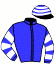 casaque portée par Berge C. jockey du cheval de course PALETUVIER, information pmu ZETURF