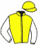 casaque portée par Guyon M. jockey du cheval de course LA SAMANA, information pmu ZETURF