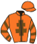 casaque portée par Roth Le Vaillant G. jockey du cheval de course ROYAL SAXO, information pmu ZETURF