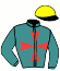 casaque portée par Bonne D. jockey du cheval de course GOLD AND GREEN (FR), information pmu ZETURF