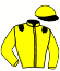 casaque portée par Lamaziere L. jockey du cheval de course ELEAZAR DU VAL, information pmu ZETURF
