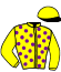 casaque portée par Tintillier A. jockey du cheval de course GIRONDA, information pmu ZETURF