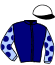 casaque portée par Richard G. jockey du cheval de course CORAL DES MOTTES (OE), information pmu ZETURF
