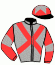 casaque portée par Paillard S. jockey du cheval de course HALCO DE SARTI, information pmu ZETURF