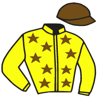 casaque portée par Lemaitre A. jockey du cheval de course BEIJINHO, information pmu ZETURF