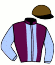 casaque portée par Repichet P. jockey du cheval de course JUMBO DE JA YO, information pmu ZETURF
