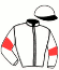 casaque portée par Le Moel Pi. jockey du cheval de course KAMARAZY, information pmu ZETURF