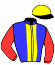 casaque portée par Madamet A. jockey du cheval de course DUBROVNIK (FR), information pmu ZETURF