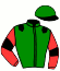 casaque portée par Moinon G. jockey du cheval de course ICE DREAM ROYAL, information pmu ZETURF