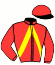 casaque portée par Lenoir M. jockey du cheval de course ELZA DE SOUVIGNE, information pmu ZETURF