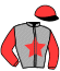 casaque portée par Bouteiller C. jockey du cheval de course JISKA DE DREAM, information pmu ZETURF