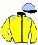 casaque portée par Mouesan H. jockey du cheval de course L'AMOUR CODE, information pmu ZETURF