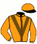 casaque portée par Ruis S. jockey du cheval de course AIXELLENCE, information pmu ZETURF