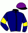 casaque portée par Grandin M. jockey du cheval de course TURTLE CHOPE, information pmu ZETURF