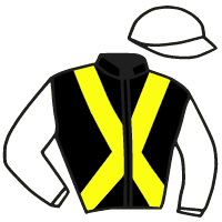casaque portée par Seguy V. jockey du cheval de course OLIVA, information pmu ZETURF
