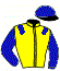 casaque portée par Germain Mlle M. jockey du cheval de course TIGER KING, information pmu ZETURF
