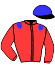casaque portée par Seguy V. jockey du cheval de course CANTATRICE, information pmu ZETURF