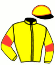casaque portée par Repichet P. jockey du cheval de course HANDY GOLD, information pmu ZETURF