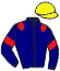 casaque portée par Ohanessian Mlle J. jockey du cheval de course HAVANA QUICK, information pmu ZETURF
