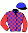 casaque portée par Mourot N. jockey du cheval de course INDIEN DU VALVIC, information pmu ZETURF
