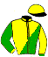 casaque portée par Mourice R. jockey du cheval de course JOYAU DU GUELIER, information pmu ZETURF