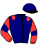 casaque portée par Bouyne Q. jockey du cheval de course FALCO MIL, information pmu ZETURF