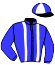 casaque portée par Faivre-picon G. jockey du cheval de course L'ASTALARA (FR), information pmu ZETURF