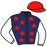 casaque portée par Hardouin E. jockey du cheval de course BUSINESS PLAN, information pmu ZETURF