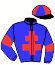 casaque portée par Bourguigneau Tom jockey du cheval de course KATCHOU DE HOUELLE, information pmu ZETURF