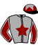 casaque portée par Nugent H. jockey du cheval de course KALYPSO DU CHESNAY, information pmu ZETURF