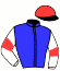 casaque portée par Riehl Mme M. jockey du cheval de course MR VIRTUOSO, information pmu ZETURF